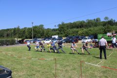 IMG_0276