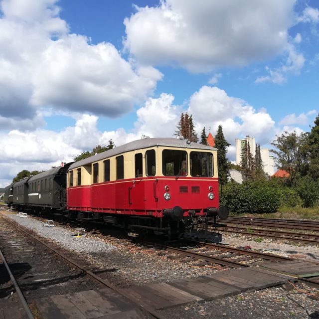 16.11.24 Grünkohlfahrt mit dem Zug